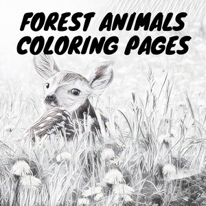 Forest Animals Coloring Pages in Grayscale, 11x8.5 inches Instant Download and Ready to Print, Coloring Pages for Kids and Adults