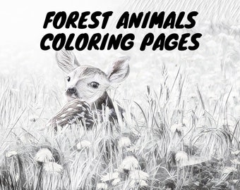 Forest Animals Coloring Pages in Grayscale, 11x8.5 inches Instant Download and Ready to Print, Coloring Pages for Kids and Adults