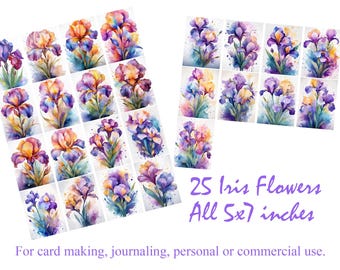 Clip Art, Beautiful Iris Flowers in Watercolor, Personal or Commercial Use, Instant Download Iris Clip Art in Watercolor in 5x7 and 4x6 jpgs
