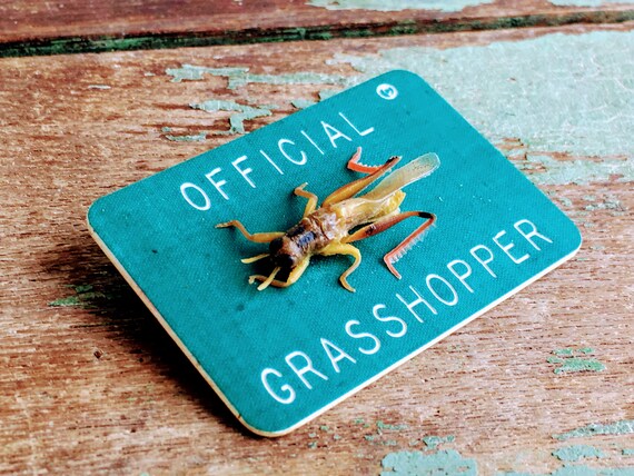 Vintage Park Badge Official Grasshopper Oddity Cr… - image 10