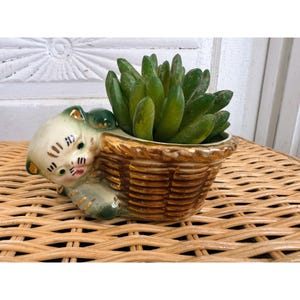 May include: A ceramic cat planter with a woven basket design, holding a green succulent plant. The cat is cream-colored with green and gold accents. The basket has a gold rim and a woven texture.