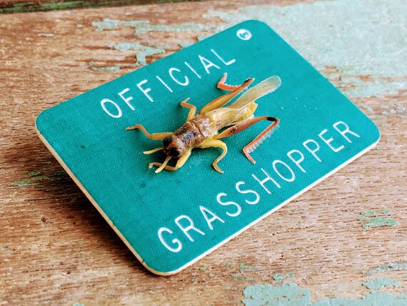 Vintage Park Badge Official Grasshopper Oddity Cr… - image 9