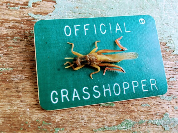 Vintage Park Badge Official Grasshopper Oddity Cr… - image 1