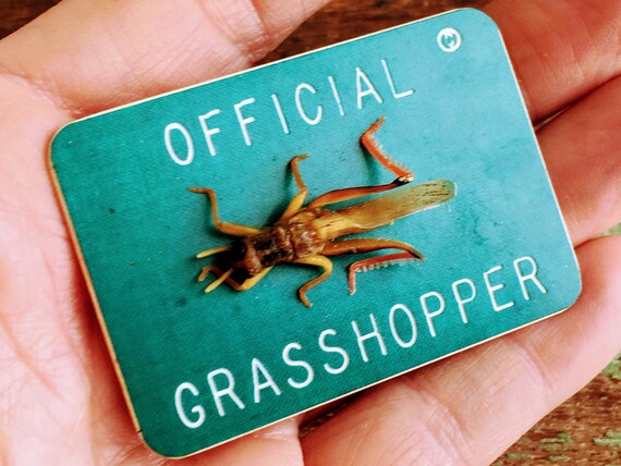 Vintage Park Badge Official Grasshopper Oddity Cr… - image 5