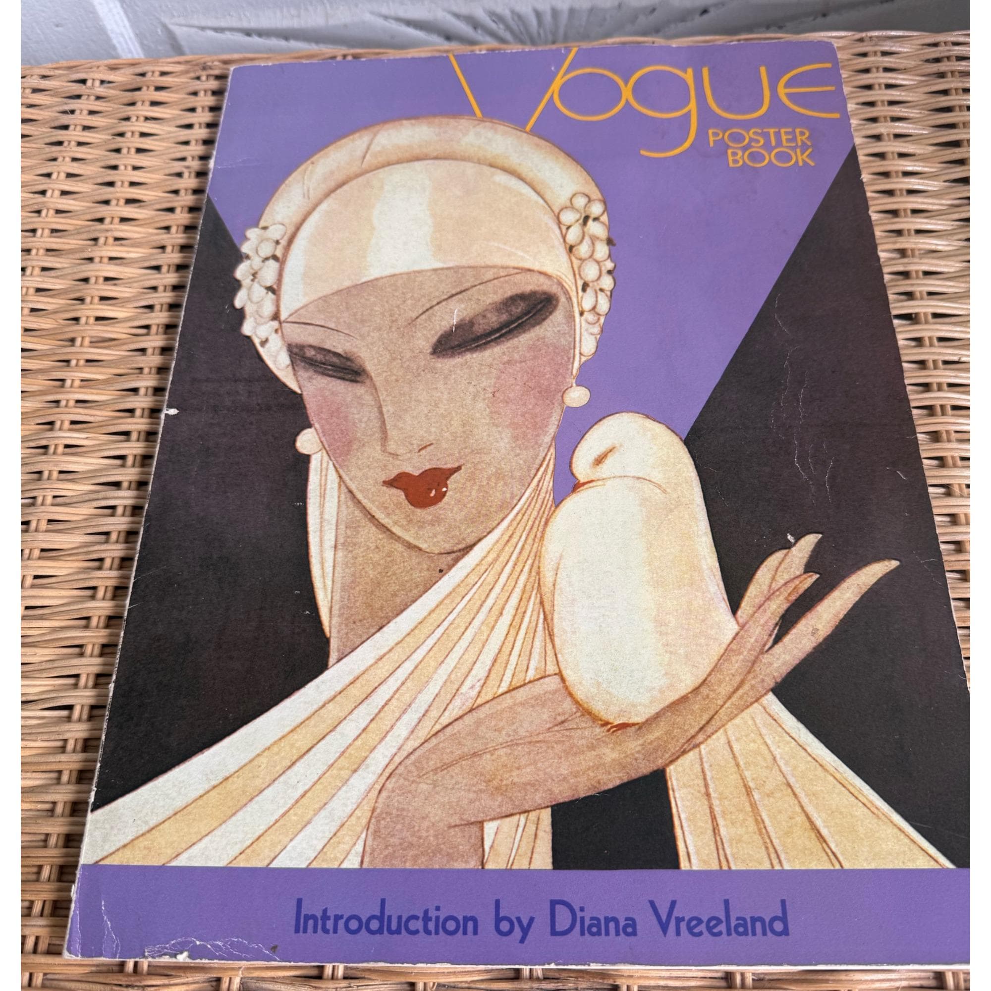 洋書 Vogue Poster Book Amazon.co.jp: VOGUE POSTER BOOK P (1911-1927) : Crown: 洋書