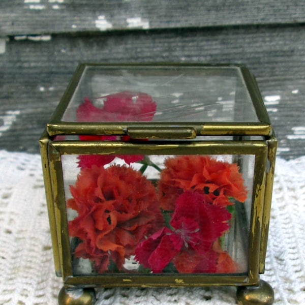 Glass Display Case Etsy