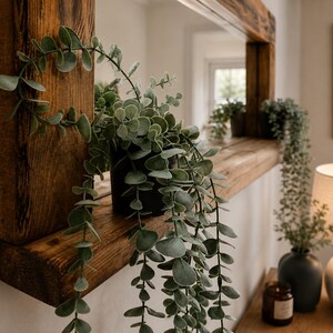 May include: A rectangular wall mirror with a thick, dark-stained wooden frame featuring a built-in shelf. A black pot containing a trailing green eucalyptus plant sits on the shelf, with its long, leafy stems cascading down over the wood surface.