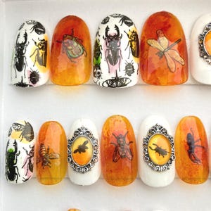 Bugs in Amber Press On Nails: Entomology Oddity, Coffin or Square