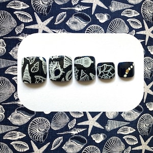 May include: Six square-shaped toe nail designs with a white seashell pattern on a dark blue background. The last nail has a gold accent.