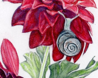 HAND SIGNED Art Card / "Savoring the Moment" / Hand Mounted Hand Signed Art Card- snail art