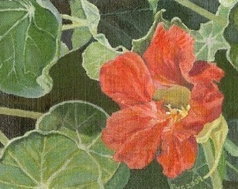 HAND SIGNED Art Card / Nasturtium Painting /  Hand Mounted Hand Signed Art Card- "Nasturtium"