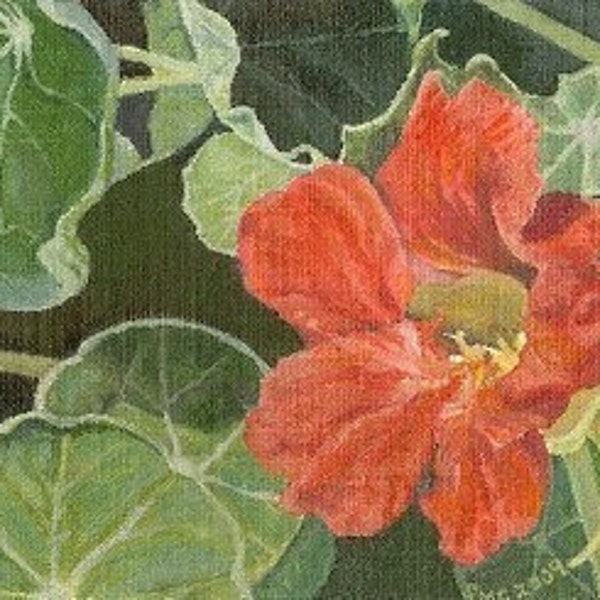 HAND SIGNED Art Card / Nasturtium Painting /  Hand Mounted Hand Signed Art Card- "Nasturtium"