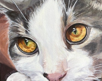 HAND SIGNED Art Card / Cat Close up | Cat eyes | art prints | cat Greeting Card "I SEE You!"