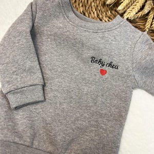 Peut inclure: Un sweat-shirt gris avec le texte brodé "Baby chou" et un cœur rouge. Le haut à manches longues est fait d'une matière douce et a un col rond. Le sweat-shirt est conçu pour les bébés et les tout-petits.