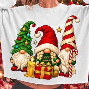 Christmas Gnomes PNG, Holiday Gnome Trio, Santa Gnome Sublimation, Christmas Gift Clipart, Festive Gnome Design, Xmas PNG