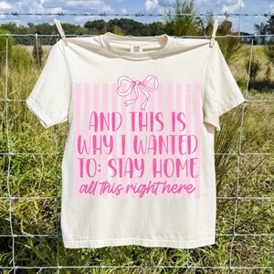 introvert png, funny png, coquette bow png, sarcastic quote, stay at home, homebody png, sassy quote, shirt design png, sublimation design, pink and blue png, mental health png, antisocial png, introvert mom gift