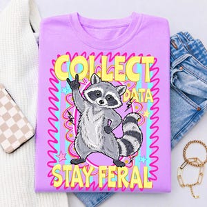 May include: A lilac t-shirt with a cartoon raccoon illustration. The raccoon has a gray and black striped tail and is raising a hand. The text "COLLECT DATA STAY FERAL" is in yellow and pink.