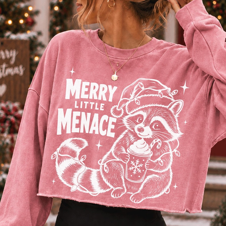 Close-up of Christmas Raccoon PNG Digital Download details