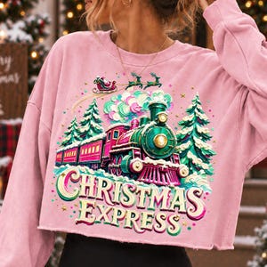 May include: A light pink long-sleeve sweatshirt featuring a graphic print of a green and magenta steam train, snow-covered pine trees, and Santa in a sleigh. The text CHRISTMAS EXPRESS is printed in large, stylised cream and pink lettering below.