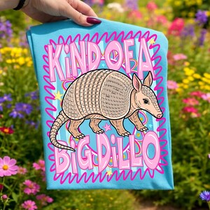 May include: A light blue t-shirt with a cartoon armadillo and the pink text "KIND OF A BIG DILLO". The armadillo is tan and pink, with a detailed shell. The design is framed by a pink and blue wavy border.