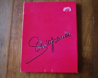 Vintage Schiaparelli Stocking in Box - 1960's - Glam - Hollywood Regency - Designer Hosiery - fire and smoke - sz. 9