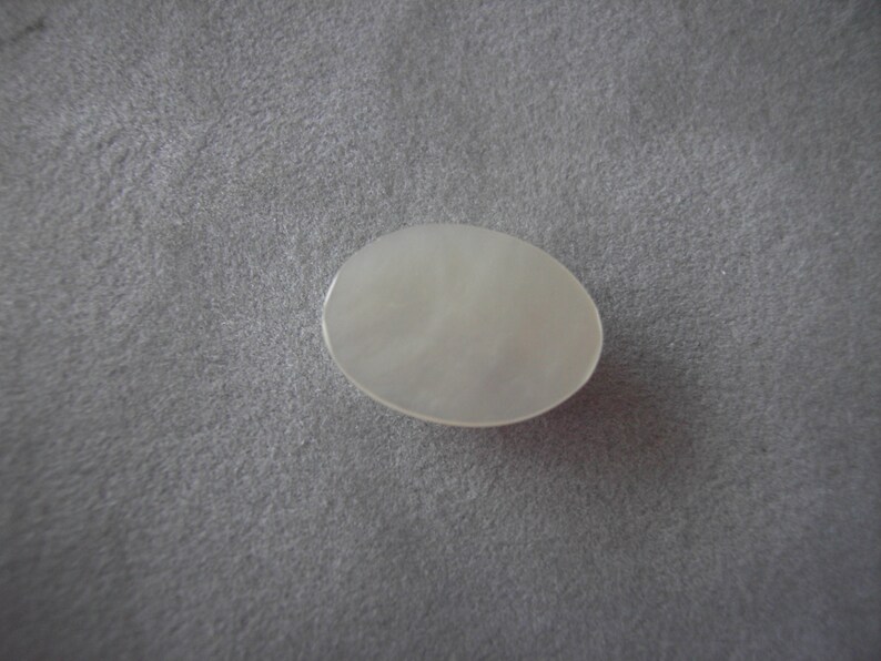 Osmena Pearls 6 Small 34 White Nautilus,Osmina