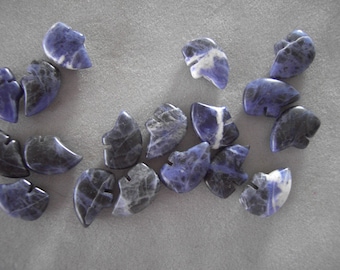 6 Blue Sodalite Bear Beads