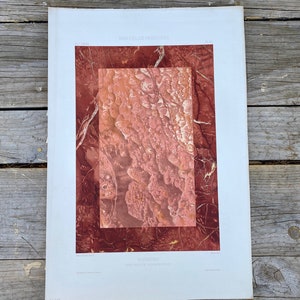 SALE Antique 1800s French Chromolithograph Corsican Red Augustin Marble Manuel De Peintures