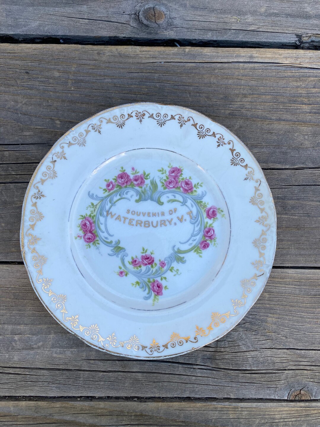 Antique 1910s Souvenir of Waterbury Vt Floral Plate by New Jersey China Pottery Co 5.75 Etsy