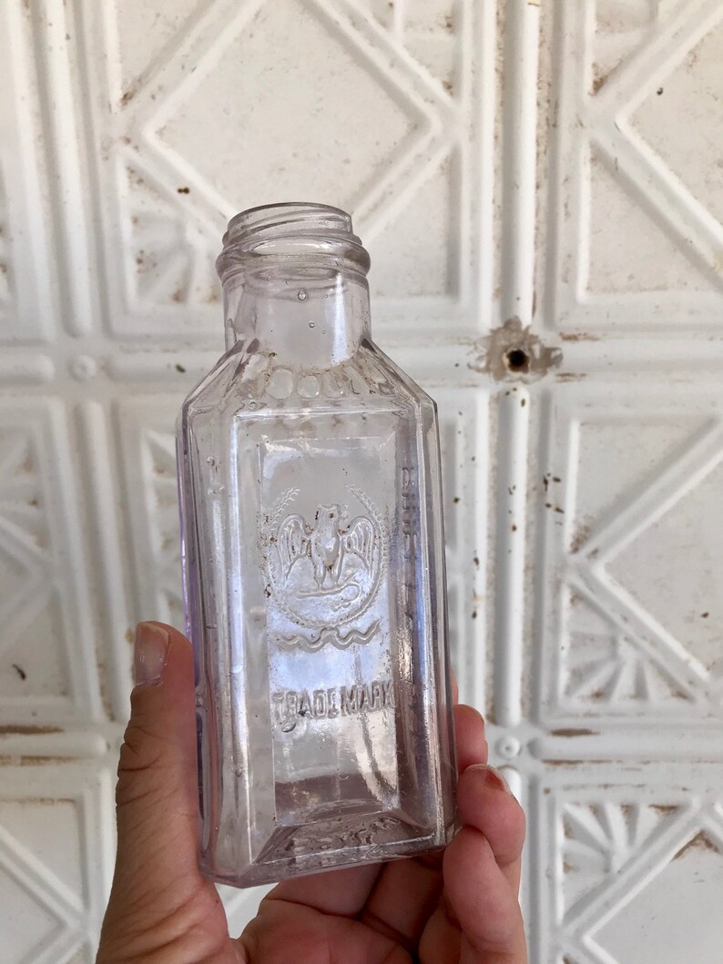 1800s Gebhart Eagle Chili Bottle Antique Sun Purple Etsy