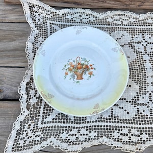 Antique Flower Basket Design Stained Crazed Ironstone China Plate 9.75in