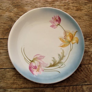 May include: A white porcelain plate with a blue rim and floral design. The flowers are pink, yellow, and green.