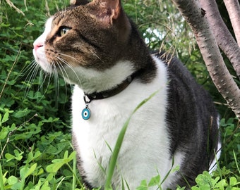 Pendentif oeil bleu pour chat ou petit chien, bijou pour pet porte bonheur