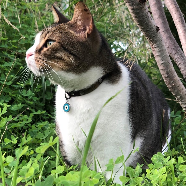 Pendentif oeil bleu pour chat ou petit chien, bijou pour pet porte bonheur