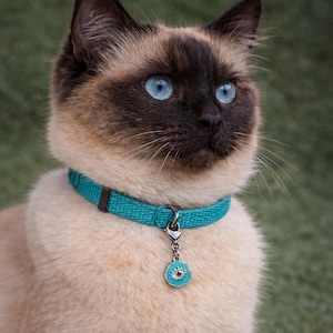 Enamel Evil Eye Pet Collar Charm: Cat & Dog Protection