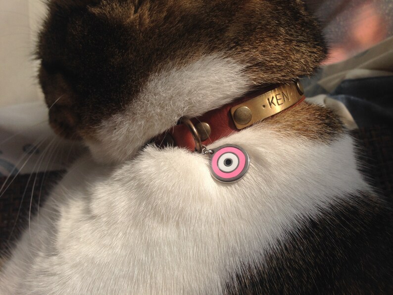 Evil eye enamel cat or dog collar charms Pet protection 3 Etsy