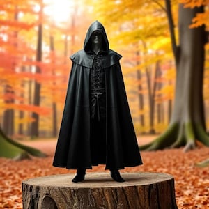 May include: A person wearing a black hooded cloak stands on a tree stump in a forest setting. The background is a blur of autumn leaves in shades of orange, yellow, and red.