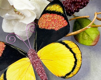 Butterfly Embellishments Tropicana