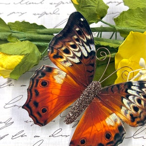 Embellissements papillon en papier | Butterfly Die Cuts | Scrapbooking | Décor de mariage | Décoration de maison et de fête | Lever de soleil d’automne