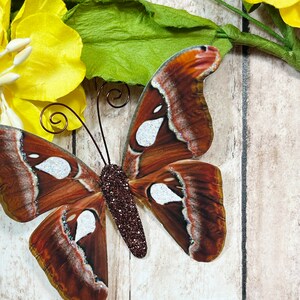 Paper Butterfly Embellishments | Butterfly Die Cuts | Scrapbooking | Wedding Decor | Home & Party Decor | Caramel