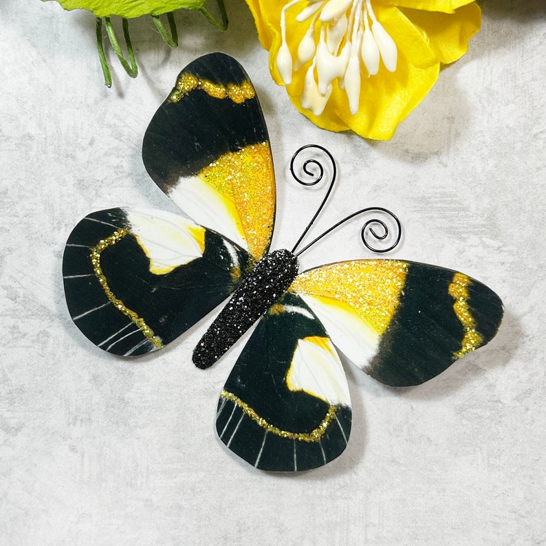 Paper Butterfly Embellishments Butterfly Die Cuts Scrapbooking Wedding Decor Home & Party Decor Willow image 6