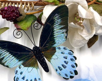 Paper Butterfly Embellishments | Butterfly Die Cuts | Scrapbooking | Wedding Decor | Home & Party Decor | Blue Skies