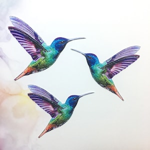 Paper Hummingbird Embellishments | Hummingbird Die Cuts | Scrapbooking | Home & Party Decor | Skittles