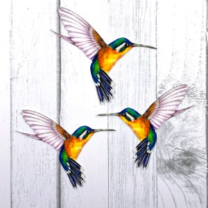 Paper Hummingbird Embellishments | Hummingbird Die Cuts | Scrapbooking | Home & Party Decor | Amber