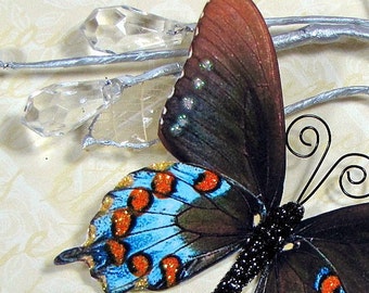 Butterfly Embellishments Turquoise Fire
