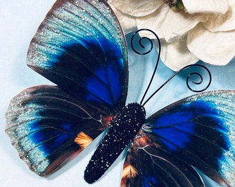 Paper Butterfly Embellishments | Butterfly Die Cuts | Scrapbooking | Wedding Decor | Home & Party Decor | Serenade In Blue