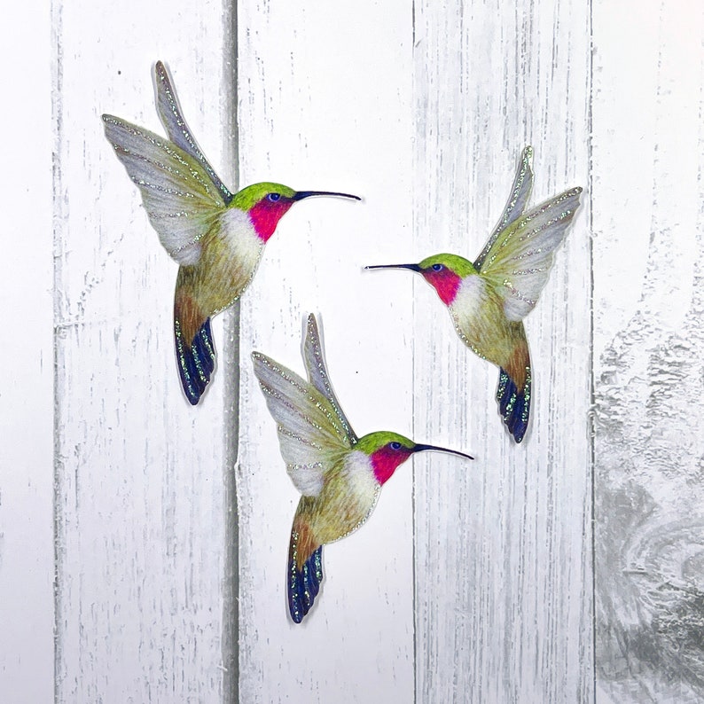 Paper Hummingbird Embellishments Hummingbird Die Cuts Scrapbooking Home & Party Decor Zephyr image 1