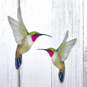 Paper Hummingbird Embellishments Hummingbird Die Cuts Scrapbooking Home & Party Decor Zephyr image 5