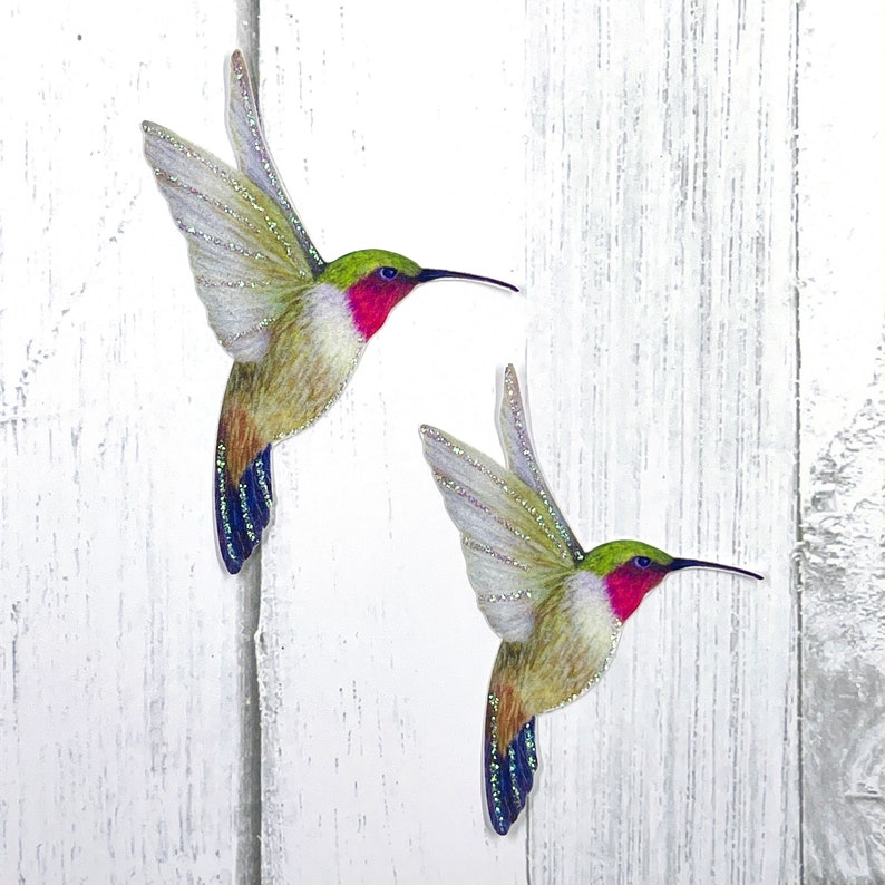 Paper Hummingbird Embellishments Hummingbird Die Cuts Scrapbooking Home & Party Decor Zephyr image 2