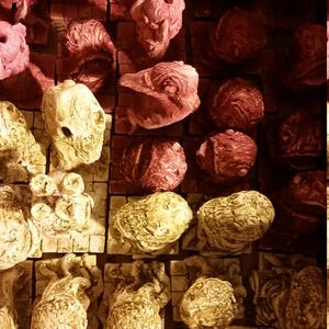 Weird Horror Chess Set in Hues of Brick and Aged Bone